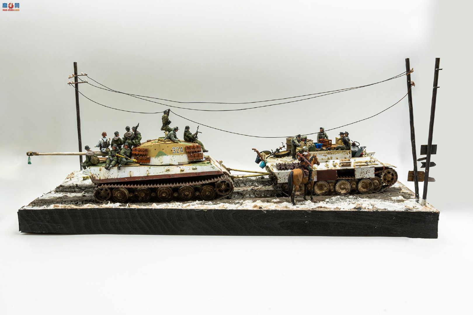 MENGĳ龰ھ King Tiger &amp; BergePanther