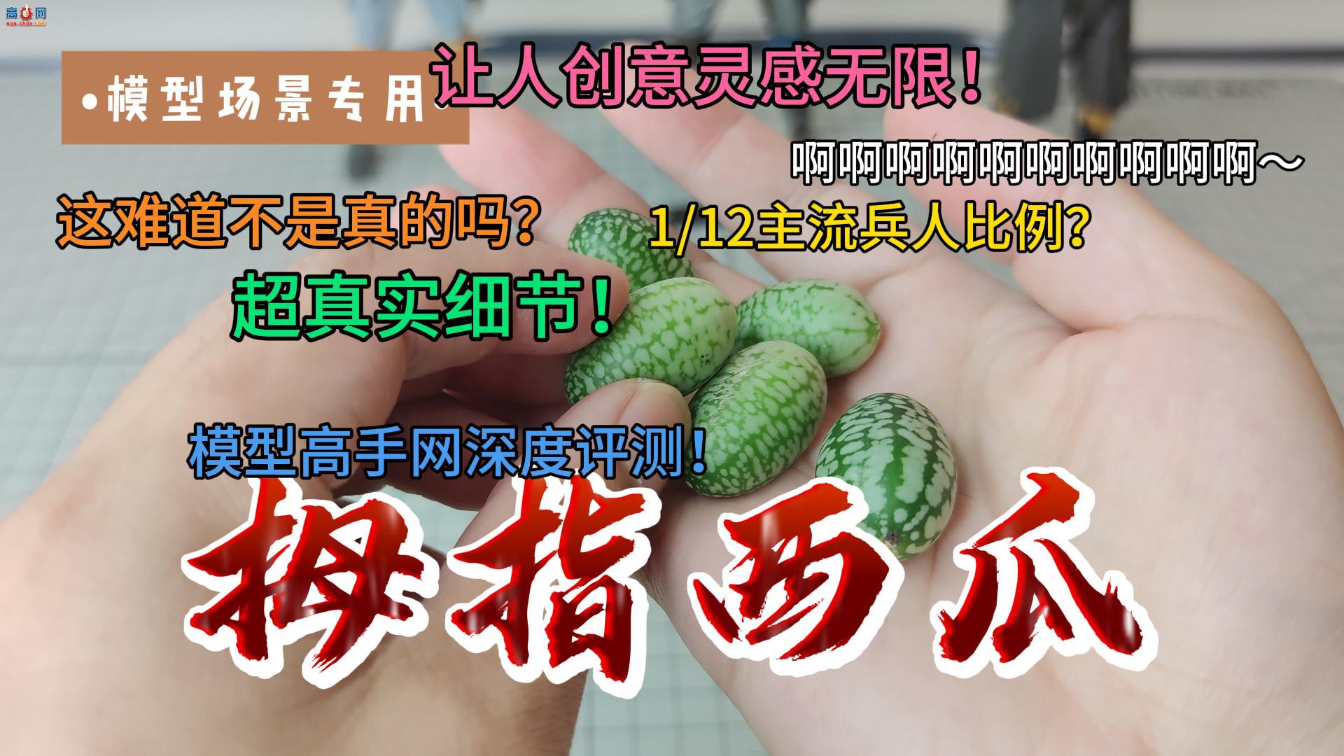 ģͳרزķ ʵϸ 1/12˱Ĵָ