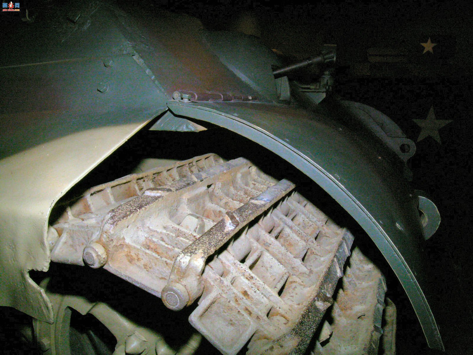 �� King Tiger��������̹��