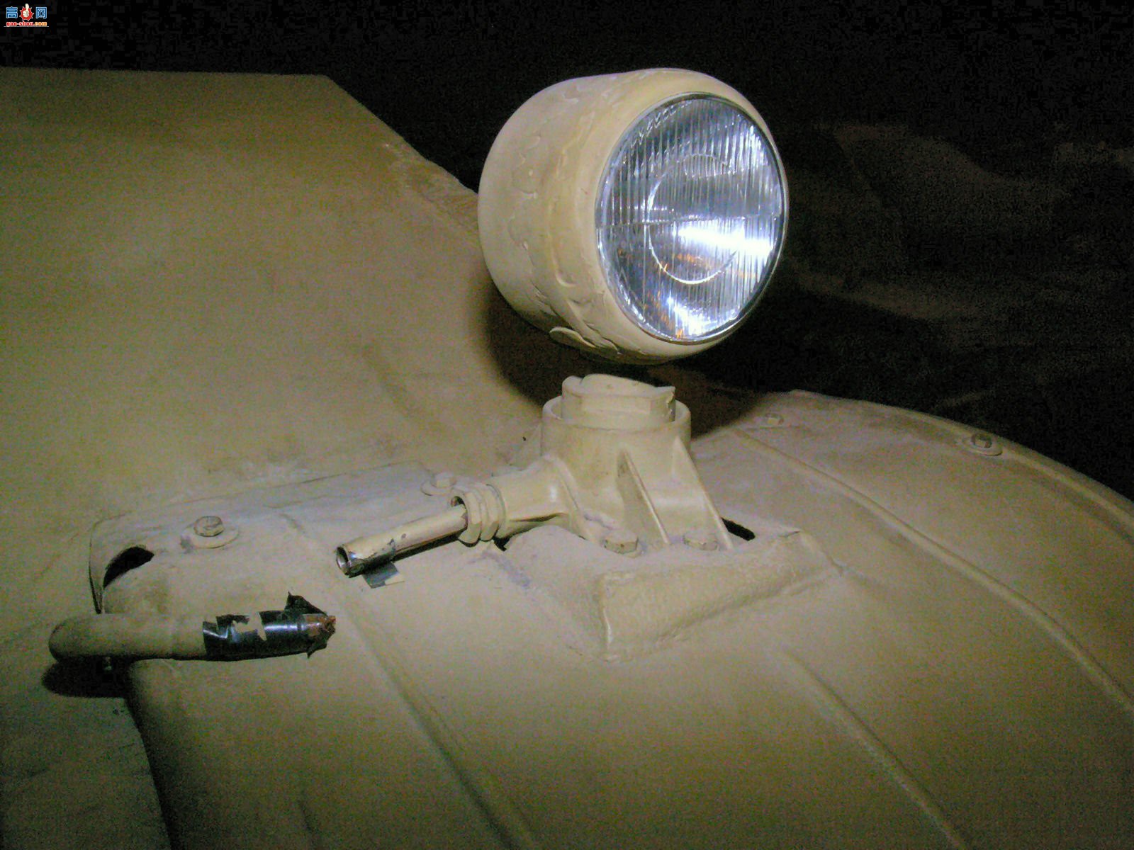 �� King Tiger��������̹��