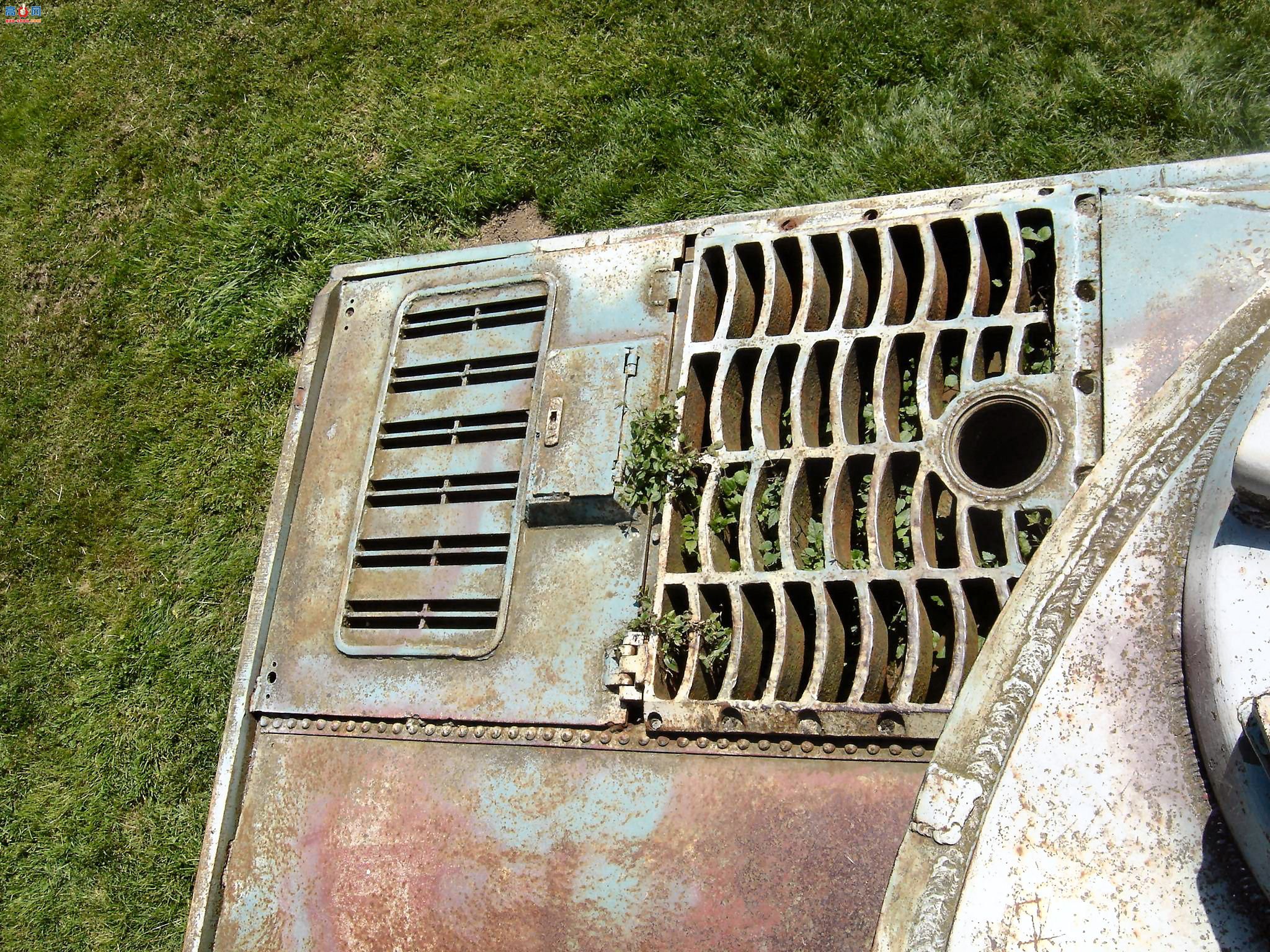 �� ��ʽ����̹��