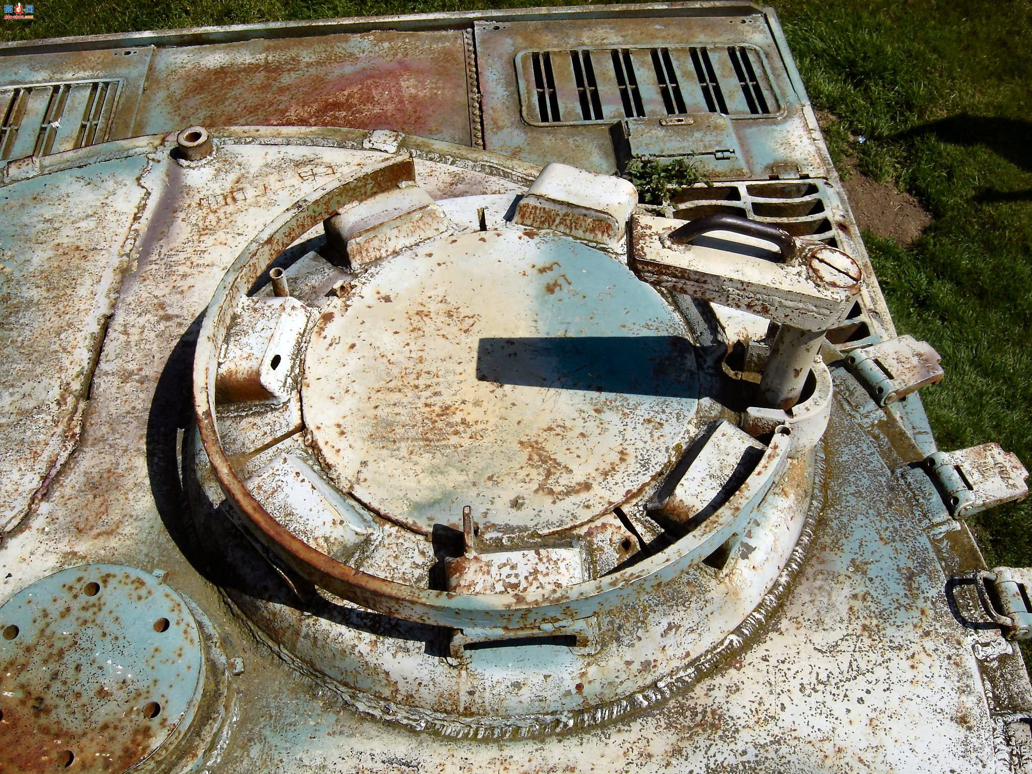 �� ��ʽ����̹��