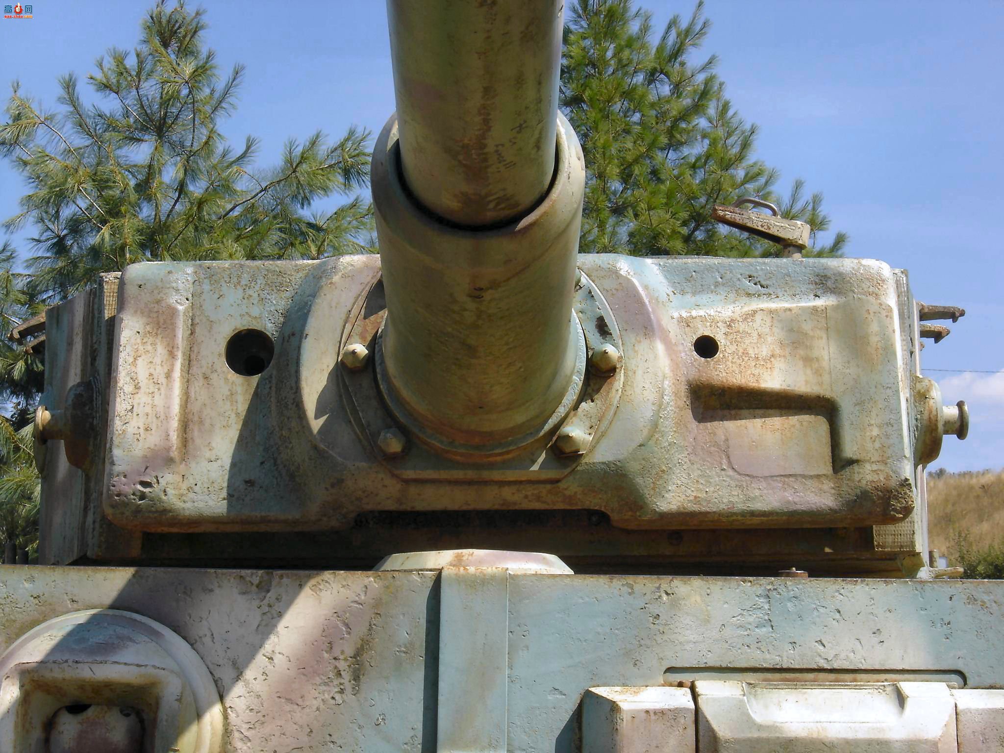 �� ��ʽ����̹��