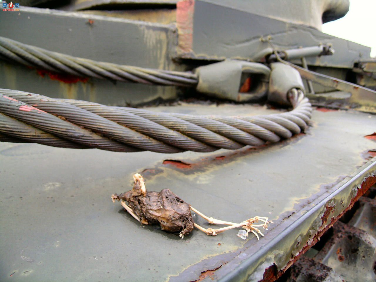 �� KV-1 ����̹�ˣ���ͼ��