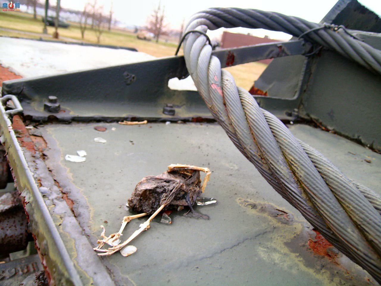 �� KV-1 ����̹�ˣ���ͼ��