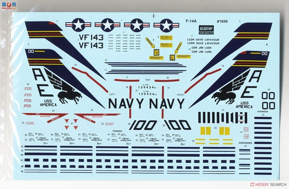 ������ ս���� AM12253 F-14A��ķè