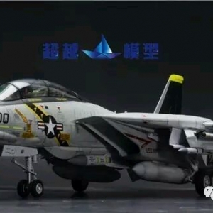 ﹬ 48 F-14A+