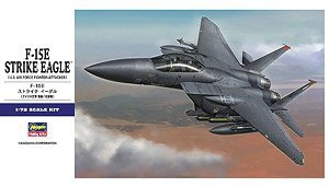 ���ȴ� ս���� 00569 E39 F-15E ����ӥ