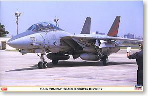 ���ȴ� ս���� 09516 F-14A ��è������ʿʷ��