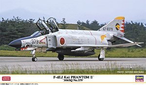 ȴ ս 02453 F-4EJ ĳӰ`306SQ No.379`