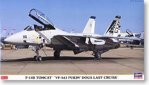 ȴ ս 00814 F-14B ķè VF-143 սȮѲ