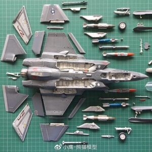 【小鹰模型作品】Kitty hawk 1/48 F-35C
