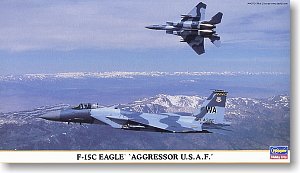 ���ȴ� ս���� 00860 F-15C ӥ `������ USAF`
