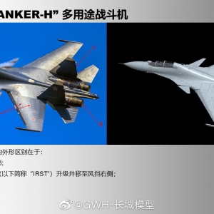 ƷSu-30SM"FLANKER-H";ս