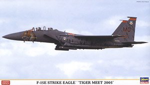 ���ȴ� ս���� 02119 F-15E ����ӥ������2005��