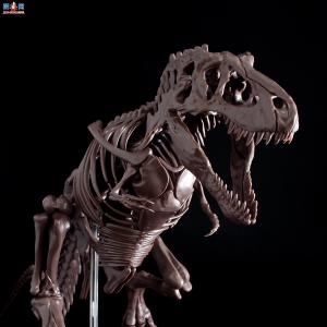 【万代】太古的记忆编织而来的“肉食性恐龙之王”Imaginary Skeleton 霸王龙