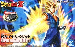   2484280 Vegetto