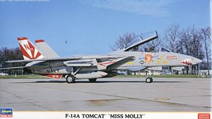 ���ȴ� ս���� 02123 F-14A ��è��Ī��С�㡱