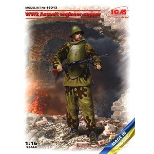 ICM ���� 16013 ��սͻ������ʦ����