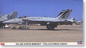 ���ȴ� ս���� 00800 F/A-18E ������Ʒ� VFA-143 �ս�