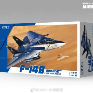 ƷL7208 1/72 F-14B ըèս