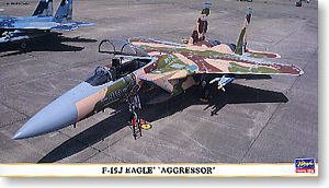���ȴ� ս���� 00792 F-15Jӥ����ָ����