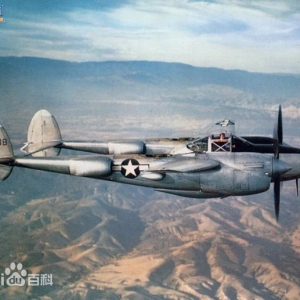  P-38ս֤ϼ