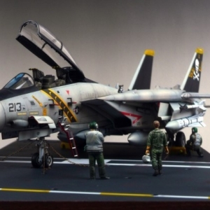 48 F-14A jolly rogers' - Tom & Cat