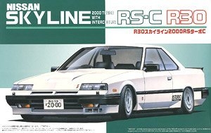 ��ʿ�� �ܳ� ID112 036540 R30 Skyline 2000RS-C