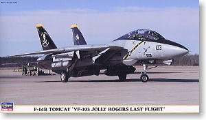 ���ȴ� ս���� 00382 F-14B ��ķè VF-103 �����޽����һ�η���