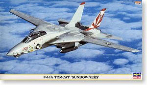 ���ȴ� ս���� 00366 F-14A ��è ɣ��˹