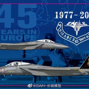 ƷS7205 1/72 F-15פŷ45Ϳװ