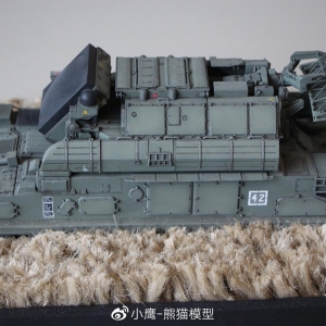 Panda Hobby 1/35 Tor M-1