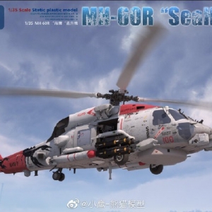 СӥƷKH50008 MH-60RSea Hawk