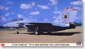 ���ȴ� ս���� 00881 F-14B ��ķè VF-11 ��ɫ������75����