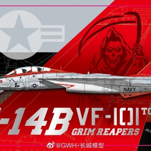 ƷF-14B VF-101èս ж